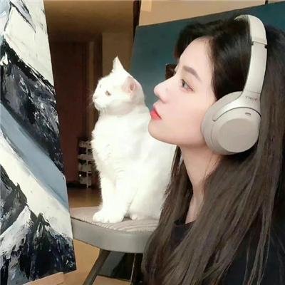 剧情佳作
