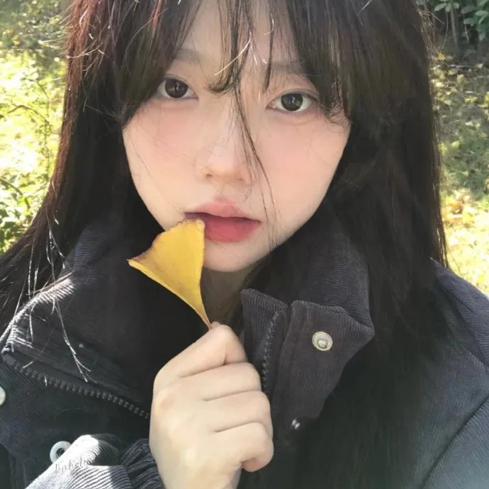 哨兵