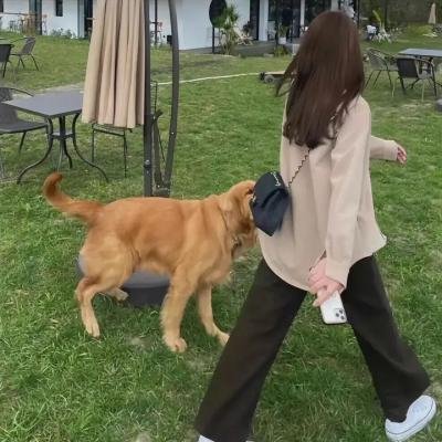 谋杀游戏